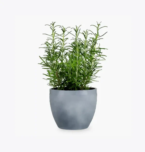 product-image-5_optimized X1B Smart Ring