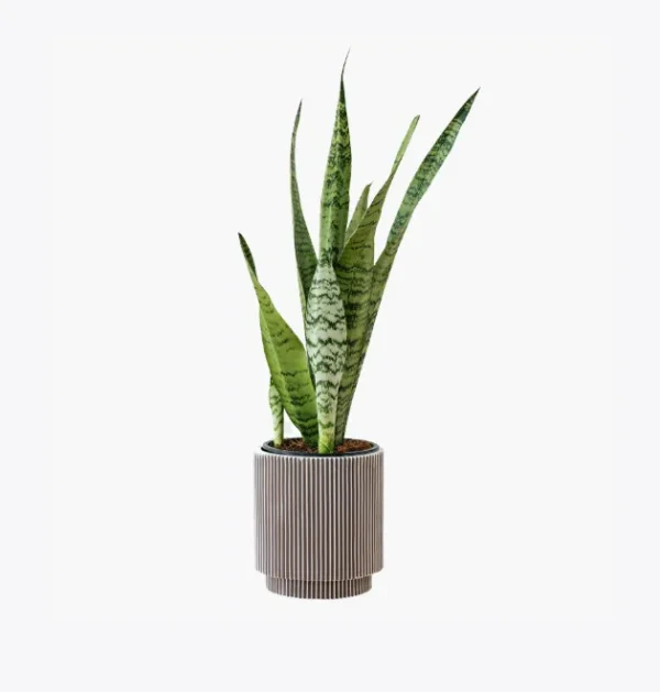 product-image-6_optimized X1B Smart Ring